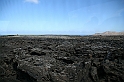 Kanary_2010 080
